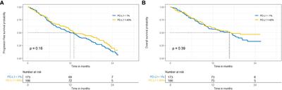 Pembrolizumab-combination therapy for NSCLC- effectiveness and predictive factors in real-world practice